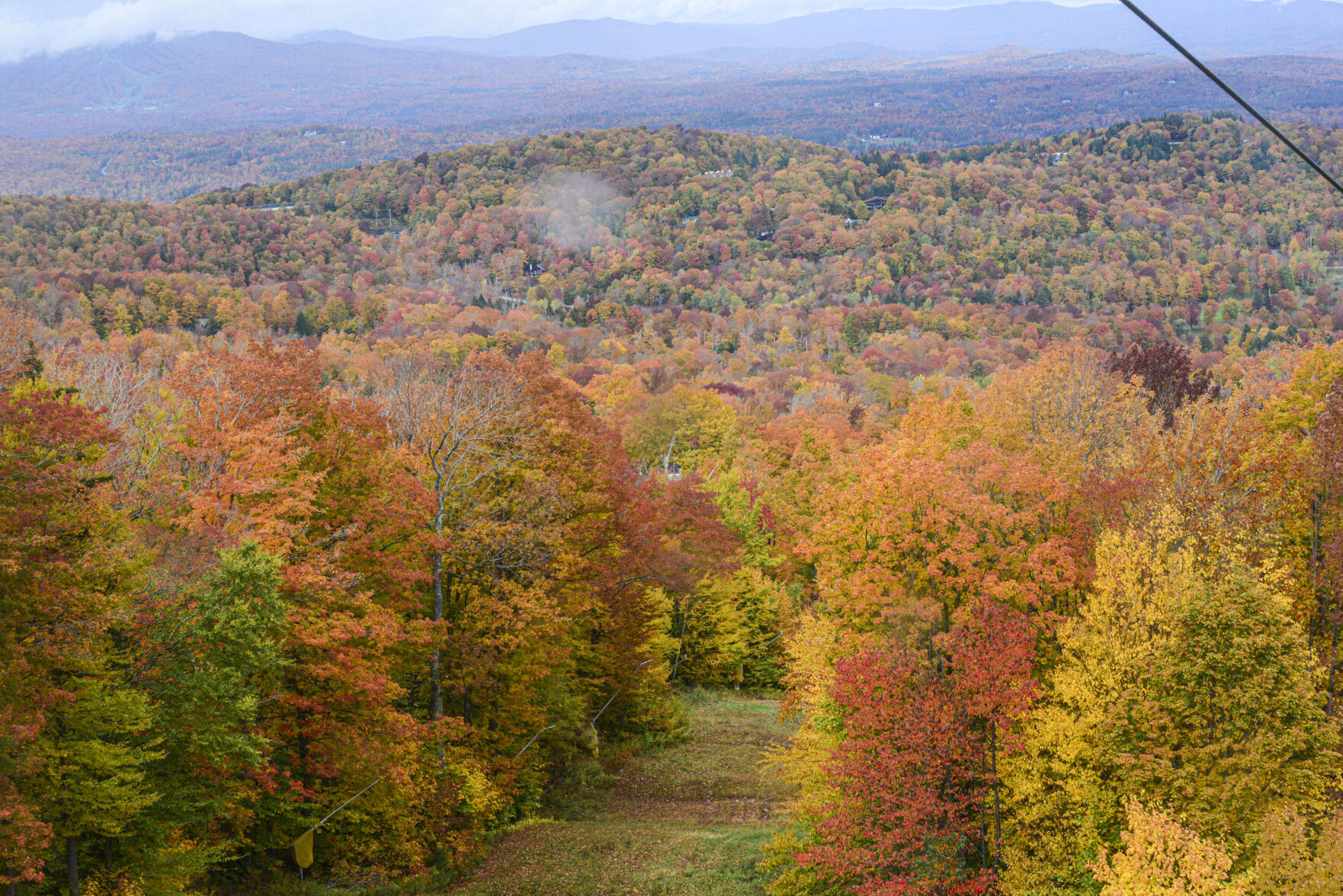 20221010-LEAF-RADDER-22.jpg